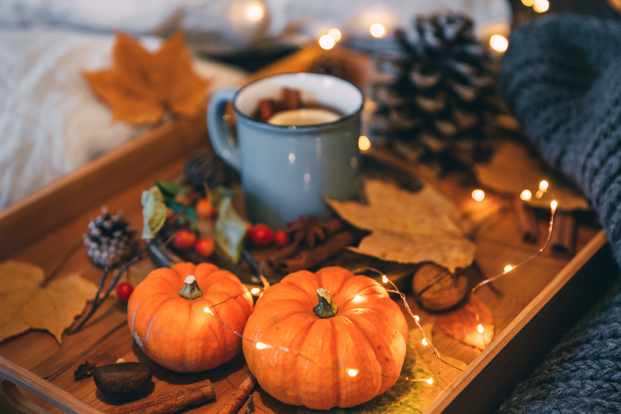 Tips To Help You Create A Cosy Autumn Home