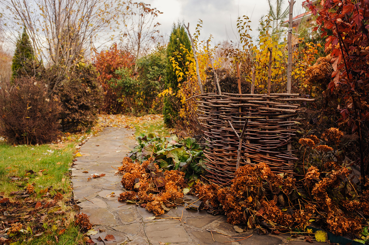 Garden in autum