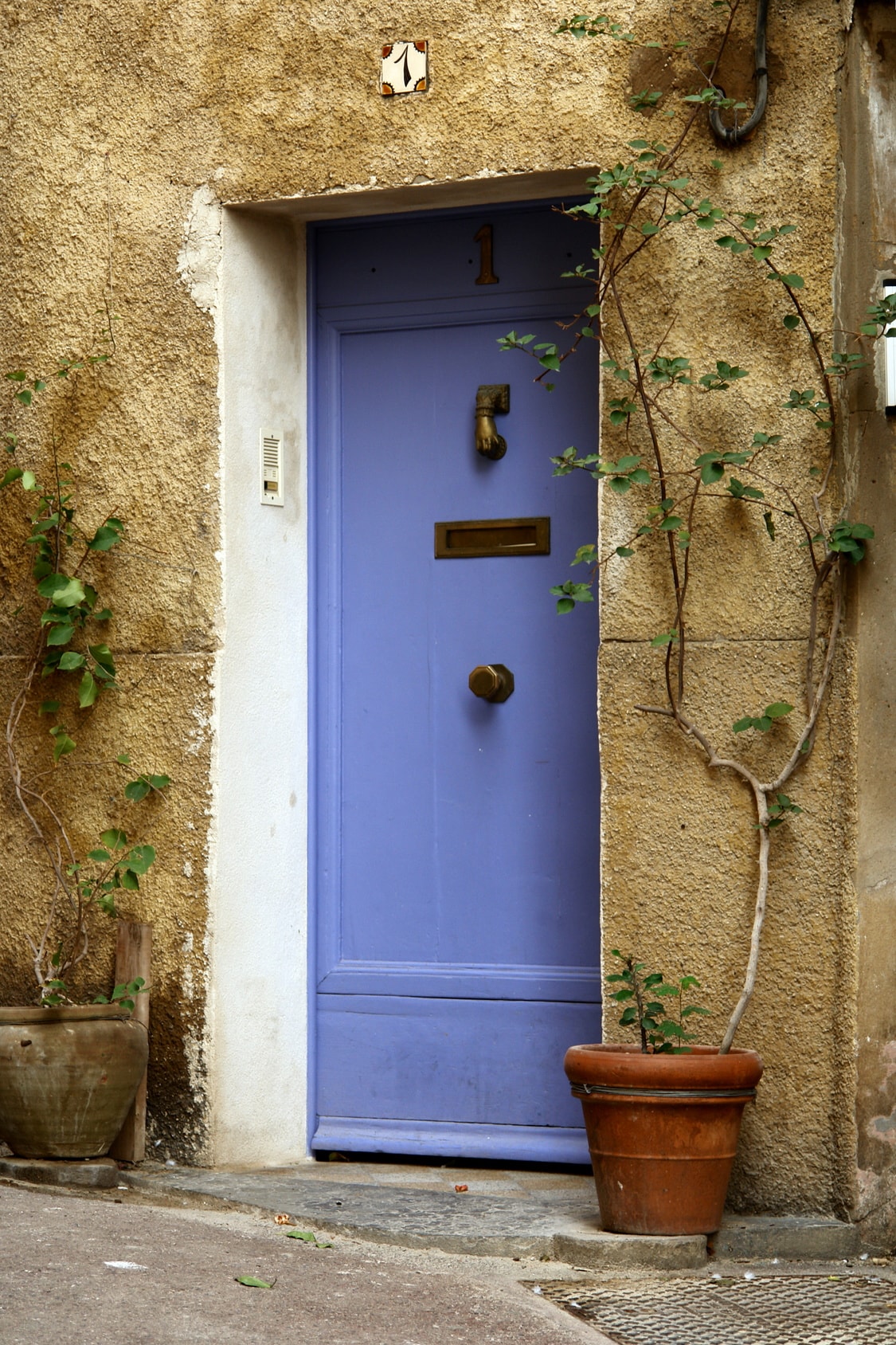 dusty lilac coloured front door trend