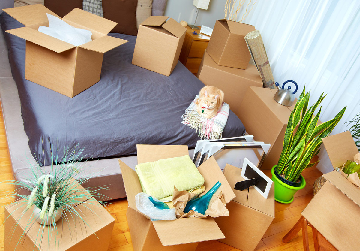 Moving day tips and advice