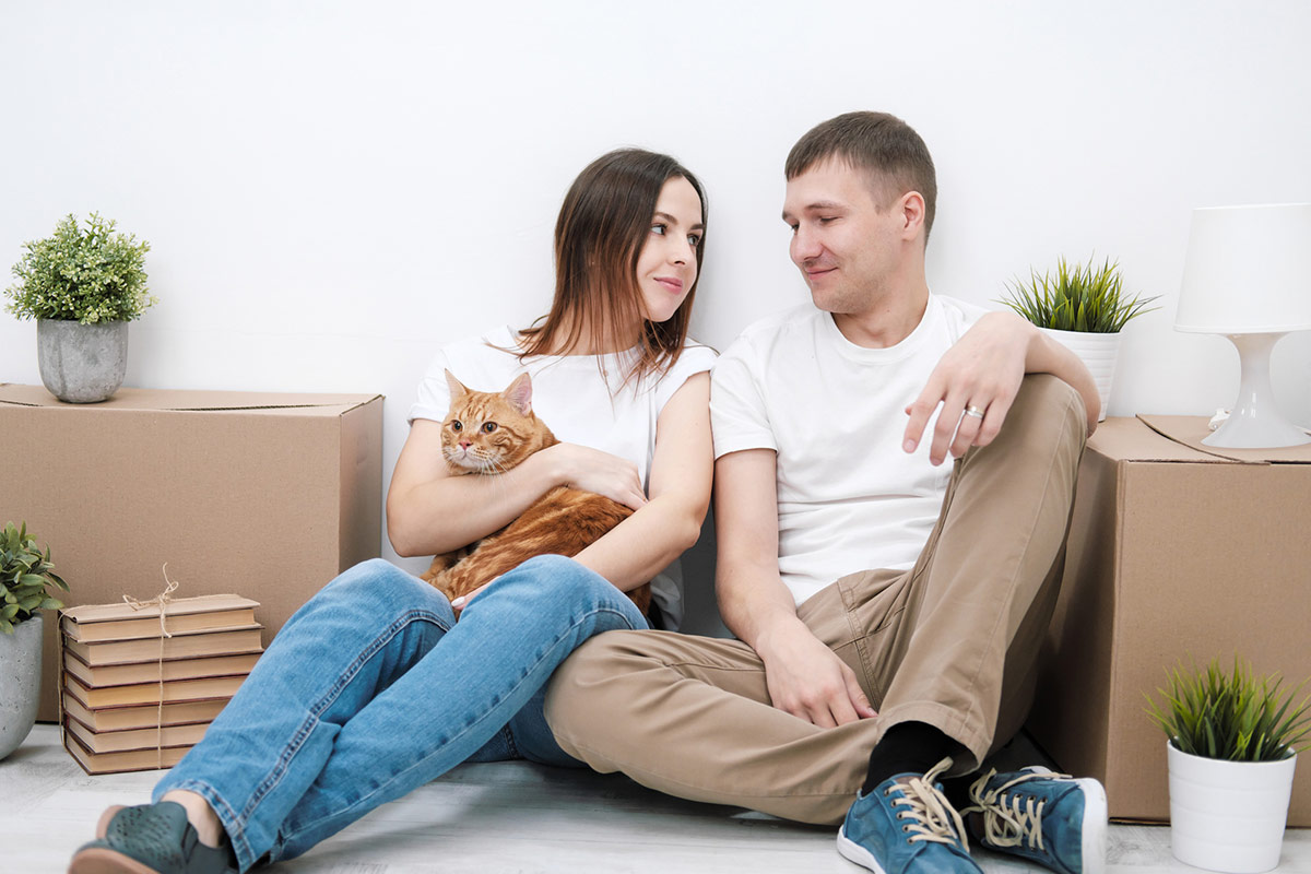 Advice moving with pets